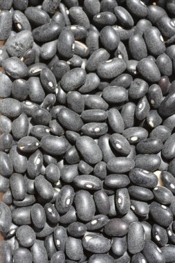 Pişmemiş kuru fasulyelerle kaplı bir yüzeyin ayrıntıları.