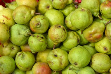 Taze toplanmış armut yığınının ayrıntıları