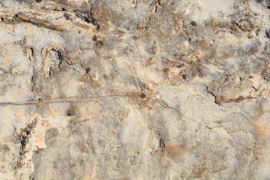 Güneşli bir günde taş yüzeyin ayrıntıları