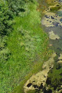 Cetina nehri üzerindeki Balecki köprüsünden yukarıdan aşağıya doğru.