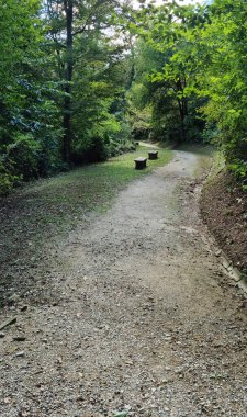 Hırvatistan 'ın Zagreb kentindeki Orlovac Park Ormanı' ndan geçen yol