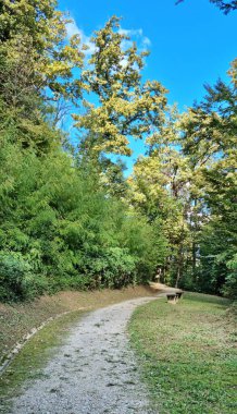 Hırvatistan 'ın Zagreb kentindeki Orlovac Park Ormanı' ndan geçen yol