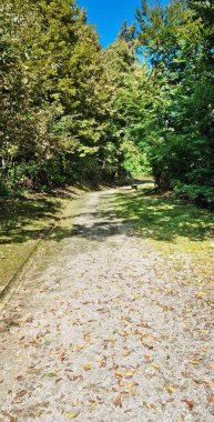 Hırvatistan 'ın Zagreb kentindeki Orlovac Park Ormanı' ndan geçen yol