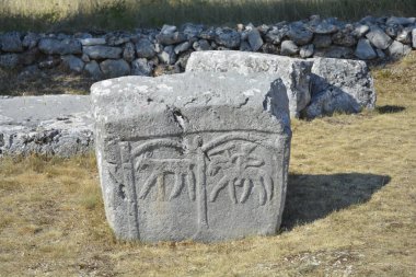Hırvatistan 'ın Cista Velika köyü yakınlarındaki Necropolis Velika ve Mala Crljivica (Büyük ve Küçük Crljivica) karmaşık oymalarla süslenmiş mezar taşlarıyla