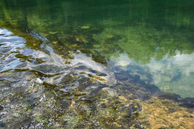 Dobra Nehri 'nin berrak suyu yosun kaplı kayaların üzerinden geçerken dalgalanmalar yaratır.