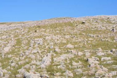 Hırvatistan 'ın Krk Adası' ndaki ünlü bir yürüyüş noktası olan Ay Platosu 'nun geleneksel kuru duvar özelliği