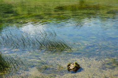 Hırvatistan 'da Banovac şelalesi (Banovcev tokadı) yakınlarındaki Dobra Nehri ayrıntıları