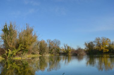 Zagrep 'teki koruma altındaki bir arazide sakin bir sonbahar sahnesi ve ornitolojik rezerv Savica' da, sonbahar renklerinde ağaçların berrak mavi gökyüzünün altındaki durgun suya yansıdığı bir sonbahar sahnesi.