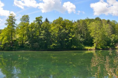 Hırvatistan 'da Banovac şelalesi (Banovcev tokadı) yakınlarındaki nehir dobrası