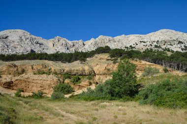 Hırvatistan 'ın Krk adasındaki Baska körfezinin batı tarafındaki Zarok kumlu bölgesi