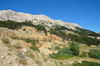 Hırvatistan 'ın Krk adasındaki Baska körfezinin batı tarafındaki Zarok kumlu bölgesi
