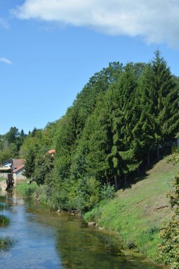 Jaskovo yakınlarındaki Dobra Nehri 'nin sakin manzarası. Temiz su, çimenli bir bankanın yanından akıyor. Uzun yeşil ağaçlarla kaplı.