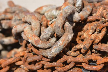 Üzerinde midyeler olan paslı, kalın bir zincir denizden çıkarılmış.