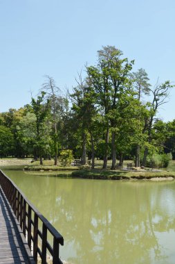 Erdoğan Parkı 'ndaki sakin bir göl, Jastrebarsko, açık mavi gökyüzünü, çevreleyen ağaçların yemyeşil bahçesini ve merkezdeki küçük bir adayı yansıtıyor.