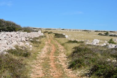 Hırvatistan 'ın Krk adasında Baska' dan Vela Luka 'ya uzanan manzaralı bir yürüyüş yolu, geleneksel kuru taş duvarları olan engebeli, kayalık bir araziden geçiyor