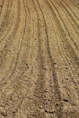 Sürünen bir tarla zengin, karanlık toprağı ortaya çıkarır, desenli yüzeyi aşınmış ve ekilmeye hazırdır.