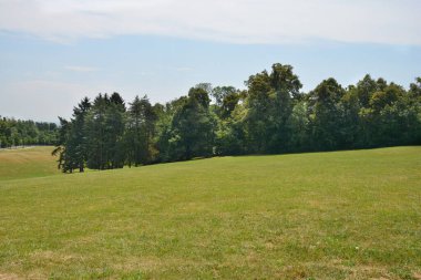Hırvatistan 'ın Zagreb kentindeki Cmrok' un sakin manzarasında, parçalı bulutlu bir gökyüzünün altında yemyeşil ağaçlarla çevrili geniş ve yumuşak bir yeşil alan yer alıyor.