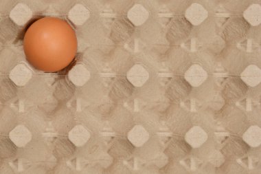 Tek bir kahverengi yumurta boş bir yumurta kutusunun ortasında duruyor.