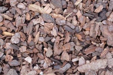 Yerdeki kahverengi saman kabuğunun yakın plan çekimi doğal dokusunu ve toprak tonlarını gözler önüne seriyor.