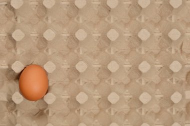 Tek bir kahverengi yumurta boş bir yumurta kutusunun ortasında duruyor.
