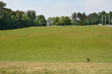 Hırvatistan 'ın Zagreb kentinde Cmrok' ta güneşli bir gün