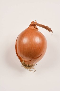 Tek bir kahverengi soğan, yuvarlak şekli ve kağıttan derisi ile açık gri bir zemin üzerine kuruludur.