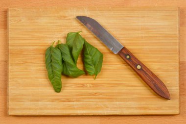 Taze fesleğen yaprakları ahşap kesme tahtasındaki küçük tahta saplı bıçağın yanına dizilir.