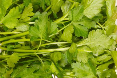 Canlı renklerini ve hassas dokularını gösteren taze yeşil maydanoz yapraklarının yakın plan çekimi.