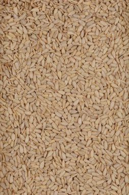 Çerçeveyi doldurmak, doğal bej renklerini ve uzamış oval şekillerini göstermek için eşit olarak dağıtılan, büyük miktardaki kabuklu ayçekirdeğinin yakın çekim, yukarıdan aşağı görüntüsü.