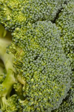 Detaylı dokusunu ve canlı yeşil rengini vurgulayan bir brokoli çiçeğinin yakın plan fotoğrafı.