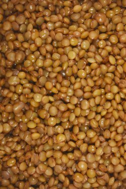 Yakın plan çekimde pişmiş kahverengi mercimeğin yumuşak dokusunu ve zengin rengini gözler önüne seriyor.