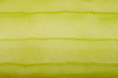 Kabuklu bir salatalığın dokulu yüzeyinin yeşil rengini ve ince çıkıntılarını vurgulayan yakın plan makro bir görüntüsü.