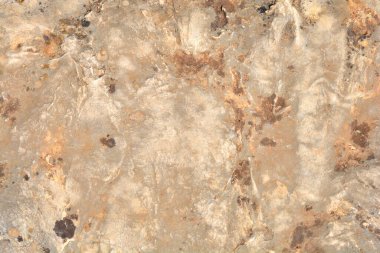 Güneşli bir günde taş bir yüzeyin ayrıntıları