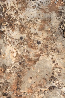 Güneşli bir günde taş bir yüzeyin ayrıntıları