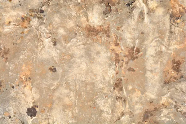 Güneşli bir günde taş bir yüzeyin ayrıntıları