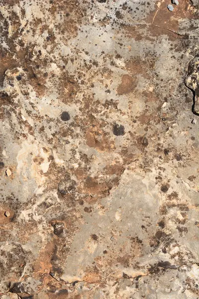 Güneşli bir günde taş bir yüzeyin ayrıntıları