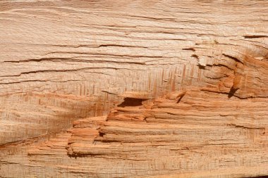 Yakın plan, açık kahverengi bir ahşabın pürüzlü, dokulu yüzeyini gösterir.