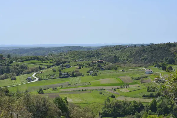 Hırvatistan 'ın Gornje Psaru kentinin manzaralı manzarası, yemyeşil tarlaların ve açık gökyüzü altındaki dağınık evlerin üzerinden doğuya doğru uzanıyor