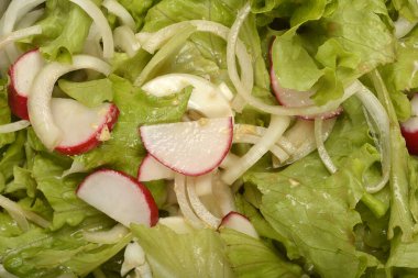 Detaylı bir yakın plan, taze bir salatanın canlı dokularını ve renklerini taze yeşil marul, şeffaf beyaz soğan dilimleri ve parlak kırmızı ve beyaz turp dilimleri ile yakalar.