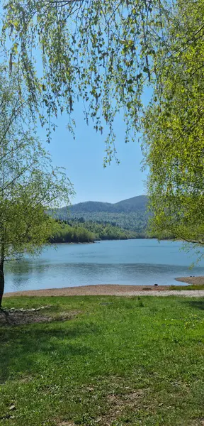 Bereketli bahar yapraklarıyla çerçevelenen Gorski Kotar 'daki Lepenica Gölü, açık mavi gökyüzünün altındaki ormanlık tepelere doğru hafif dalgalarla uzanıyor.