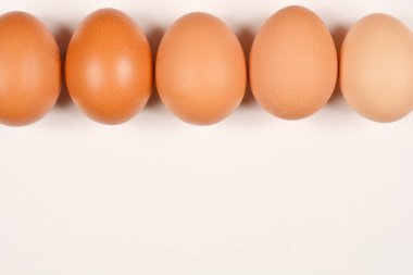 Beş kahverengi yumurta, basit ve açık bir arkaplan üzerine mükemmel bir şekilde dizilmiş olup, aşağıda metin veya tasarım elementleri için geniş bir alan sağlar.