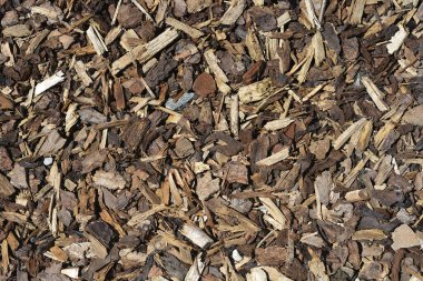 Yoğun bir genel bakış, çeşitli ahşap parçalarından oluşan doğal bir zemin örtüsü sunar.