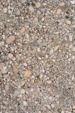 Beton bir yüzeyin tam kare, yüksek açılı görüntüsü çeşitli küçük, açık renkli çakıl taşları ve çakıl taşları ile desenli bir arka plan oluşturur.