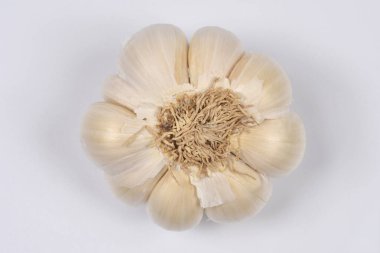 A close-up, centered, overhead studio shot displays the fibrous base of a garlic bulb with unpeeled cloves arranged circularly on a white background