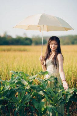 Relaxed brunette girl walking on rice fields