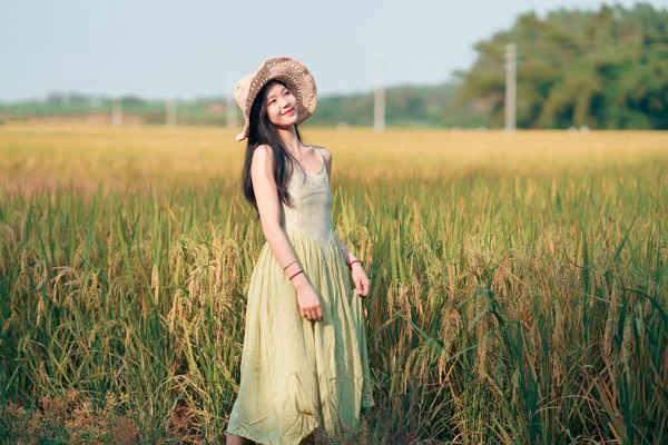 Розслаблена Брюнетка Дівчина Ходить Рисових Полях — стокове фото