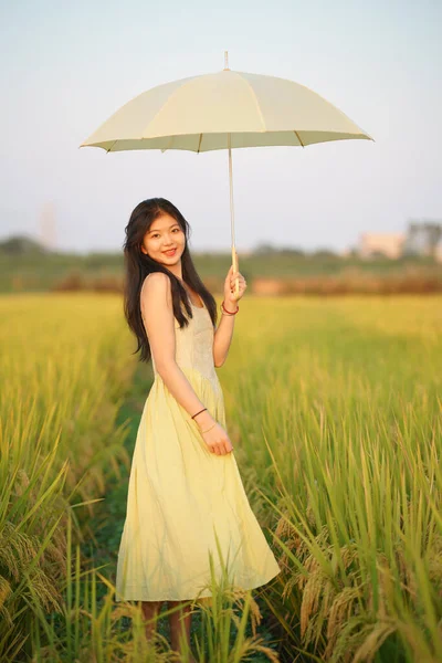 Relaxed brunette girl walking on rice fields