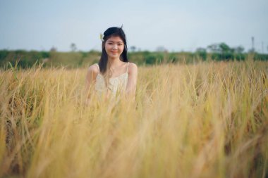 Relaxed brunette girl walking on rice fields