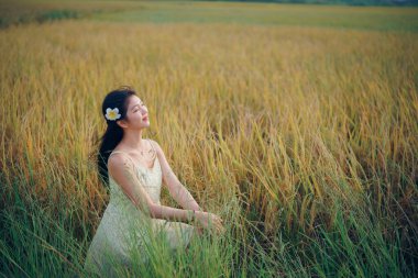 Relaxed brunette girl walking on rice fields