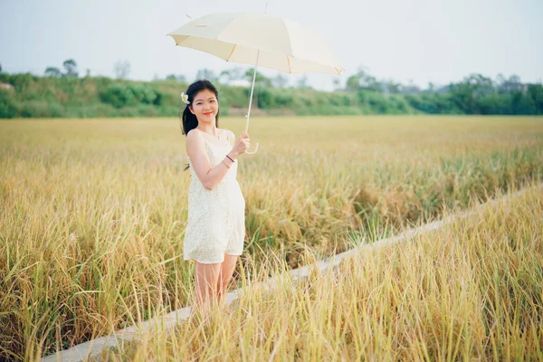 Relaxed Brunette Girl Walking Rice Fields — Stockfoto